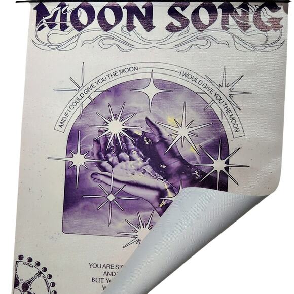 Phoebe Bridgers "Moon Song" Canvas Wall Art, Indie Music Print, 12x16" Unframed - Picture 4 of 4